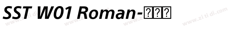 SST W01 Roman字体转换